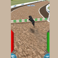 Dog Racing Simulator
