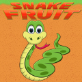Snake Fruit