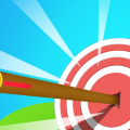 Arrow Count Master