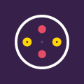Rotating Disks