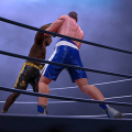 Ultimate Boxing Game