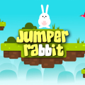 Jumper Rabbit