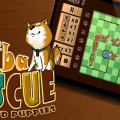 Shiba Rescue Dogs and Puppies