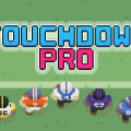 Touchdown Pro