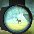 Hunter Training