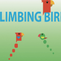 EG Climb Bird