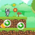 Baby Cat Adventure