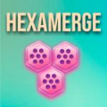 Hexamerge